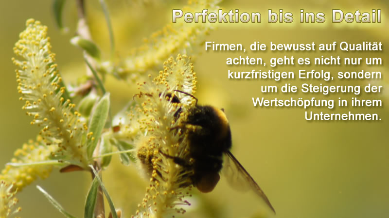 Qualität im IT-Service